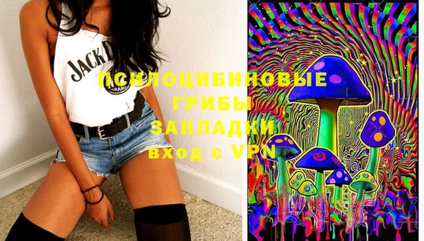 прущие грибы Киреевск